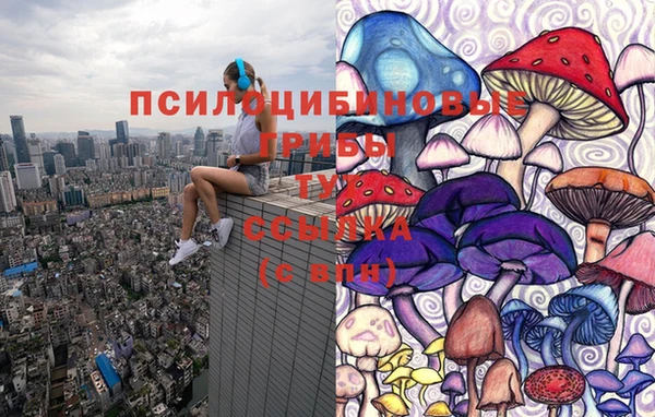 МДПВ Вяземский