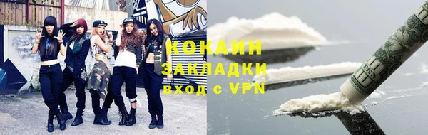 МДПВ Вяземский