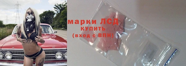 МДПВ Вяземский