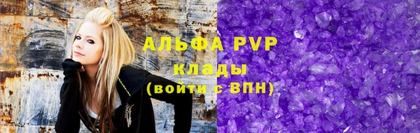 МДПВ Вяземский