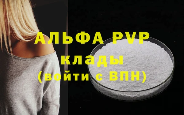 PSILOCYBIN Горно-Алтайск