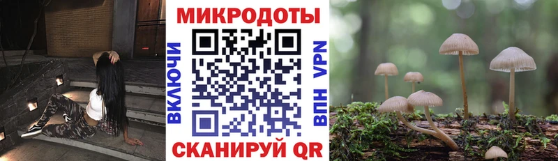 Псилоцибиновые грибы Psilocybe  Купить где  Болохово 